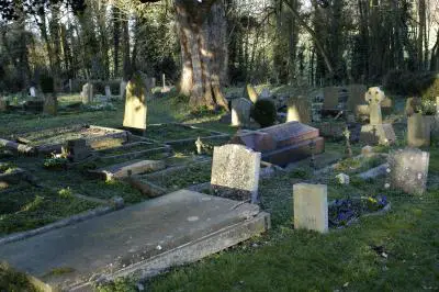 Graveyard Man (two graves to the right of the big tree)